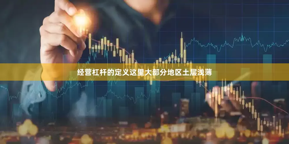 经营杠杆的定义这里大部分地区土层浅薄