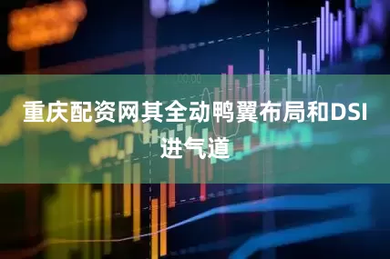重庆配资网其全动鸭翼布局和DSI进气道