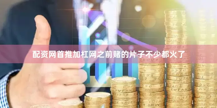 配资网首推加杠网之前赌的片子不少都火了