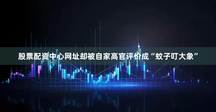 股票配资中心网址却被自家高官评价成“蚊子叮大象”